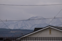 DSC_0005